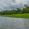 Amazon040 DSC04477 : Amazonas, Brazil, Manaus