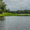 Amazon043 DSC04488 : Amazonas, Brazil, Manaus