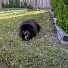 2001 02 25 P2250001001