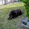 2001 02 25 P2250002002