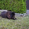2001 02 25 P2250003003