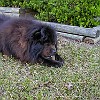 2001 02 25 P2250004004