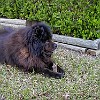 2001 02 25 P2250005005
