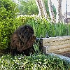 2001 03 04 P3040019003
