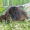 2001 03 04 P3040020004