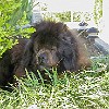 2001 03 04 P3040021005