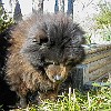 2003-02-01-P2010001