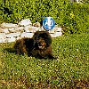 2003-04-26-P4260053