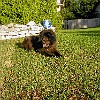 2003-04-26-P4260056