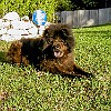 2003-04-26-P4260057