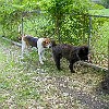 2003-05-22-P5220002