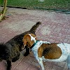 2003-05-22-P5220003