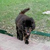 2003-05-22-P5220004