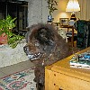 2003-09-16-P9160001