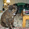 2003-09-16-P9160002