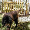 2003-11-28-PB280006