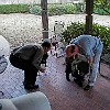 2003-12-25-PC250005