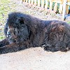 2004-02-13-IMG 0008