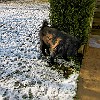 2004-02-13-IMG 0014