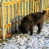 2004-02-13-IMG 0016