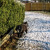 2004-02-13-IMG 0021