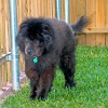 2004-05-04-bear1