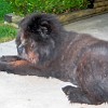 2004-05-04-bear2