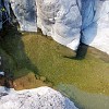 DSC 0080