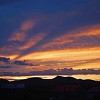 DSC 0142