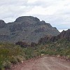 DSC 0150
