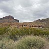 DSC 0154