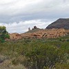 DSC 0155