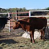 DSC 0021