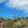 DSC 0044