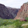 DSC 0161