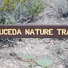 This is a short trail around the Sauceda Complex.  Esta trilha faz um circuito em volta do complexo de Sauceda.