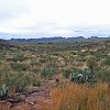 DSC 0125