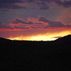 DSC 0139