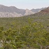 066DSC00505 : Big Bend Ranch State Park, Encino Loop, Llano Loop
