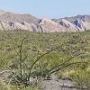 070DSC00513 : Big Bend Ranch State Park, Encino Loop, Llano Loop