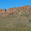 081DSC00528 : Big Bend Ranch State Park, Encino Loop, Llano Loop
