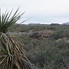 106DSC00471 : Big Bend Ranch State Park