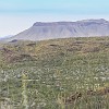 108DSC00475 : Big Bend Ranch State Park