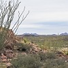 111DSC00479 : Big Bend Ranch State Park