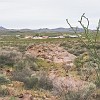 The Bunkhouse is on the left (grey building). O alojamento é o prédio da esquerda (cinza). : Big Bend Ranch State Park