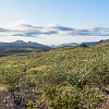 The day started very cold in the low 50s and very windy. O dia começou bem frio por volta dos 10 graus e com muito vento. : Big Bend Ranch State Park