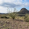 008DSC00380 : Big Bend Ranch State Park