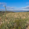 009DSC00381 : Big Bend Ranch State Park