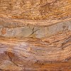 021DSC00398 : Big Bend Ranch State Park