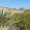 023DSC00402 : Big Bend Ranch State Park